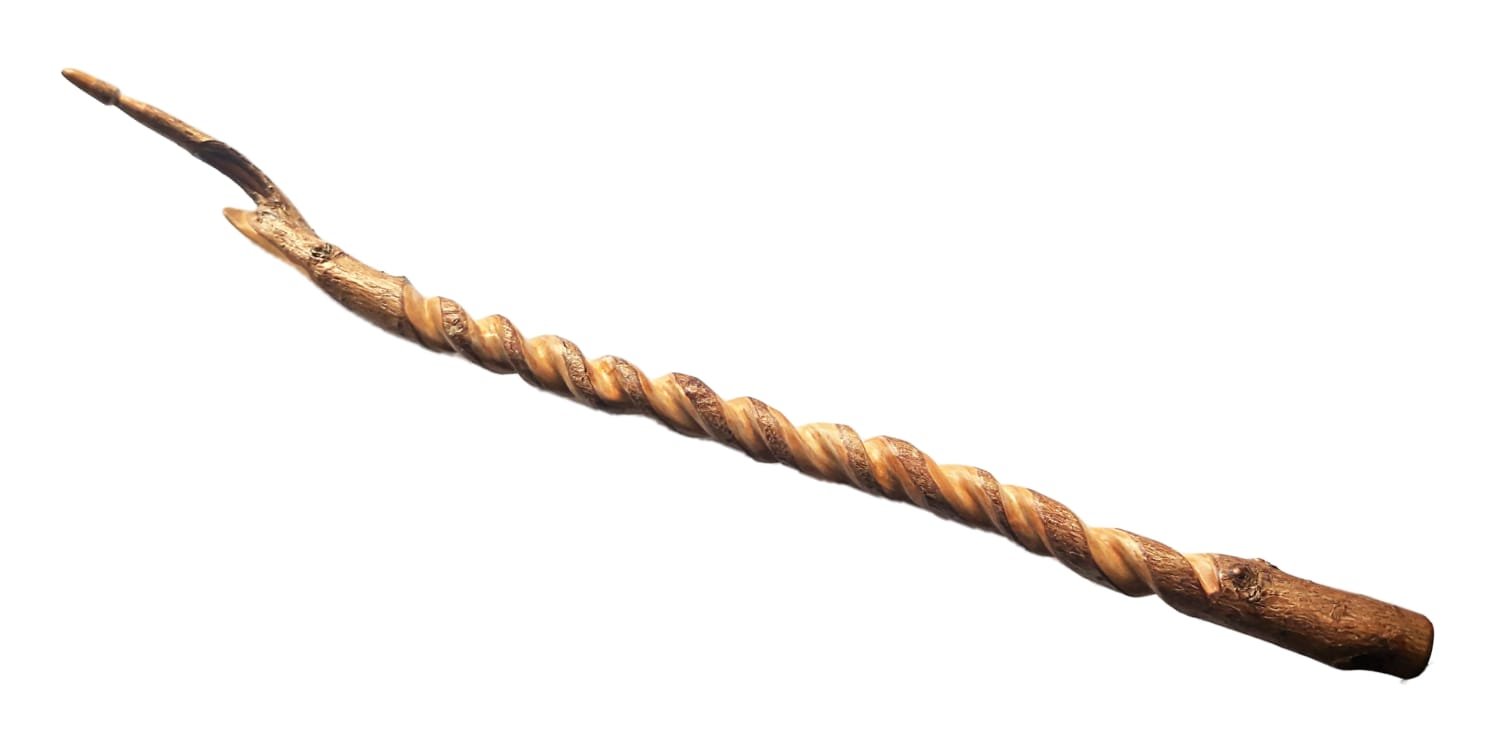 magic twisted wand livewood taxus