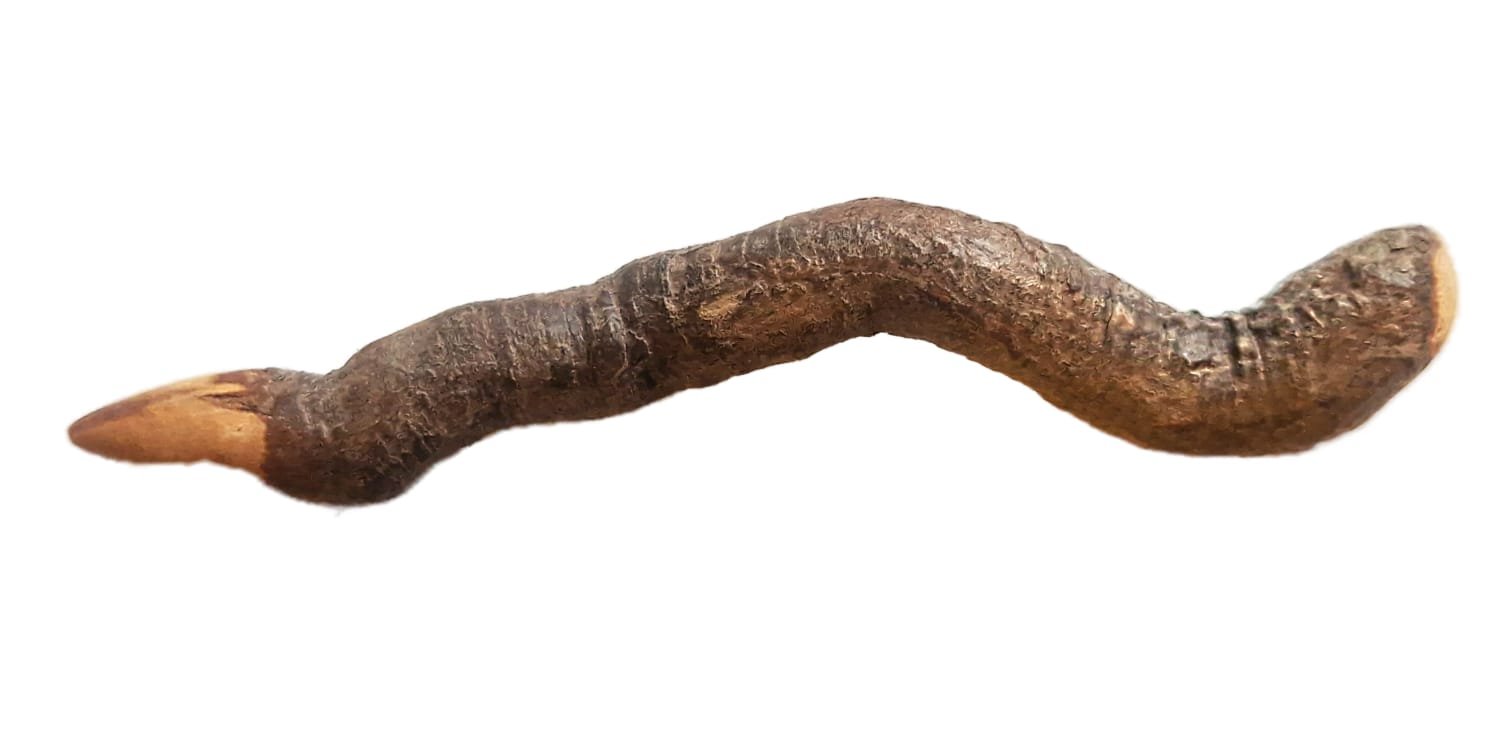 livewood grove den wand geronimo gallery