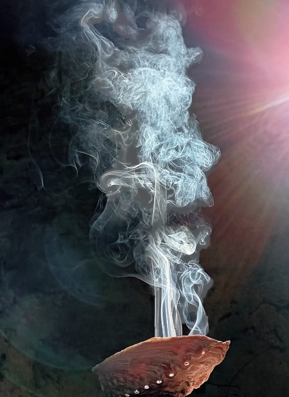 kruiden harsen wierook livewood geronimo gallery