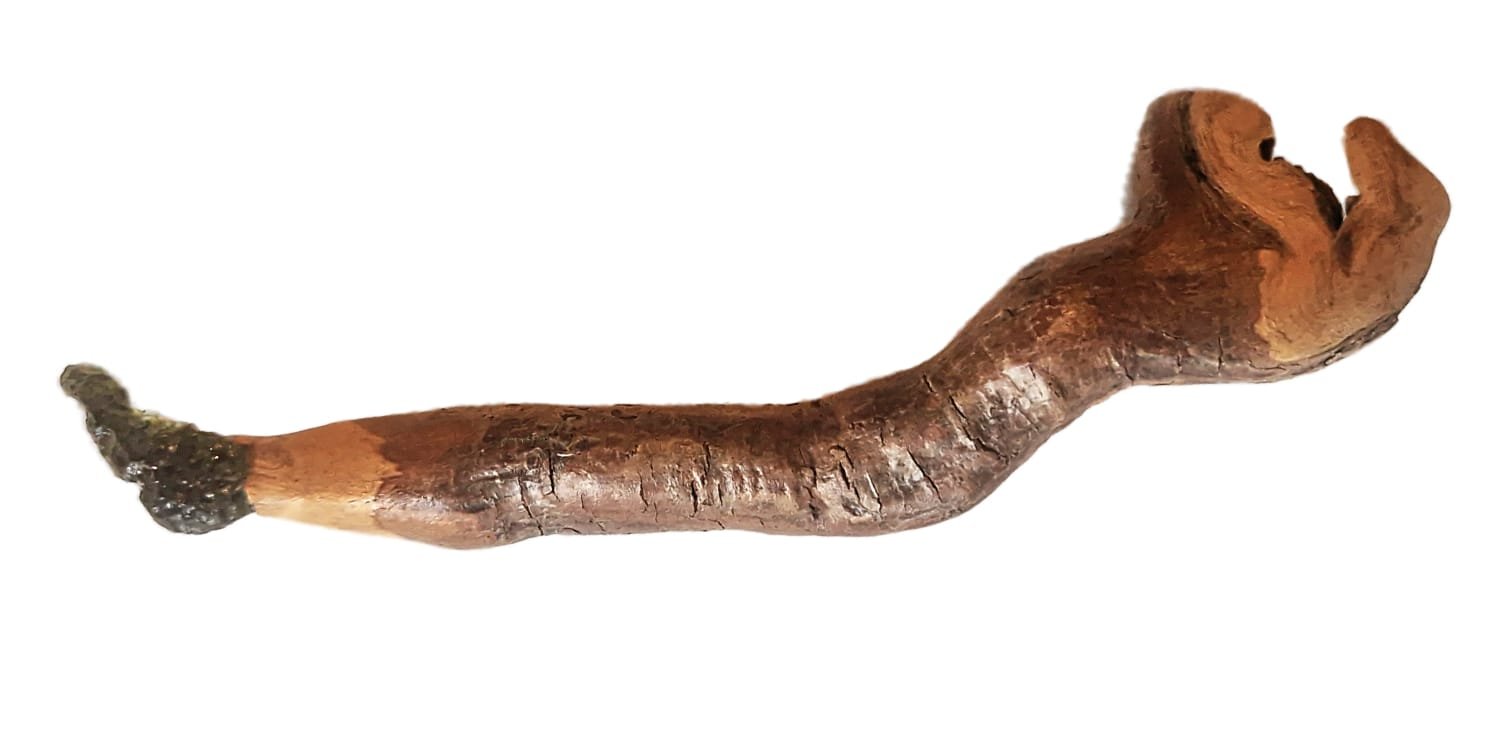 livewood den wand kracht geronimo gallery