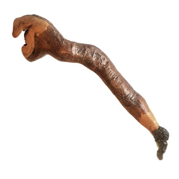 livewood den wand kracht geronimo gallery