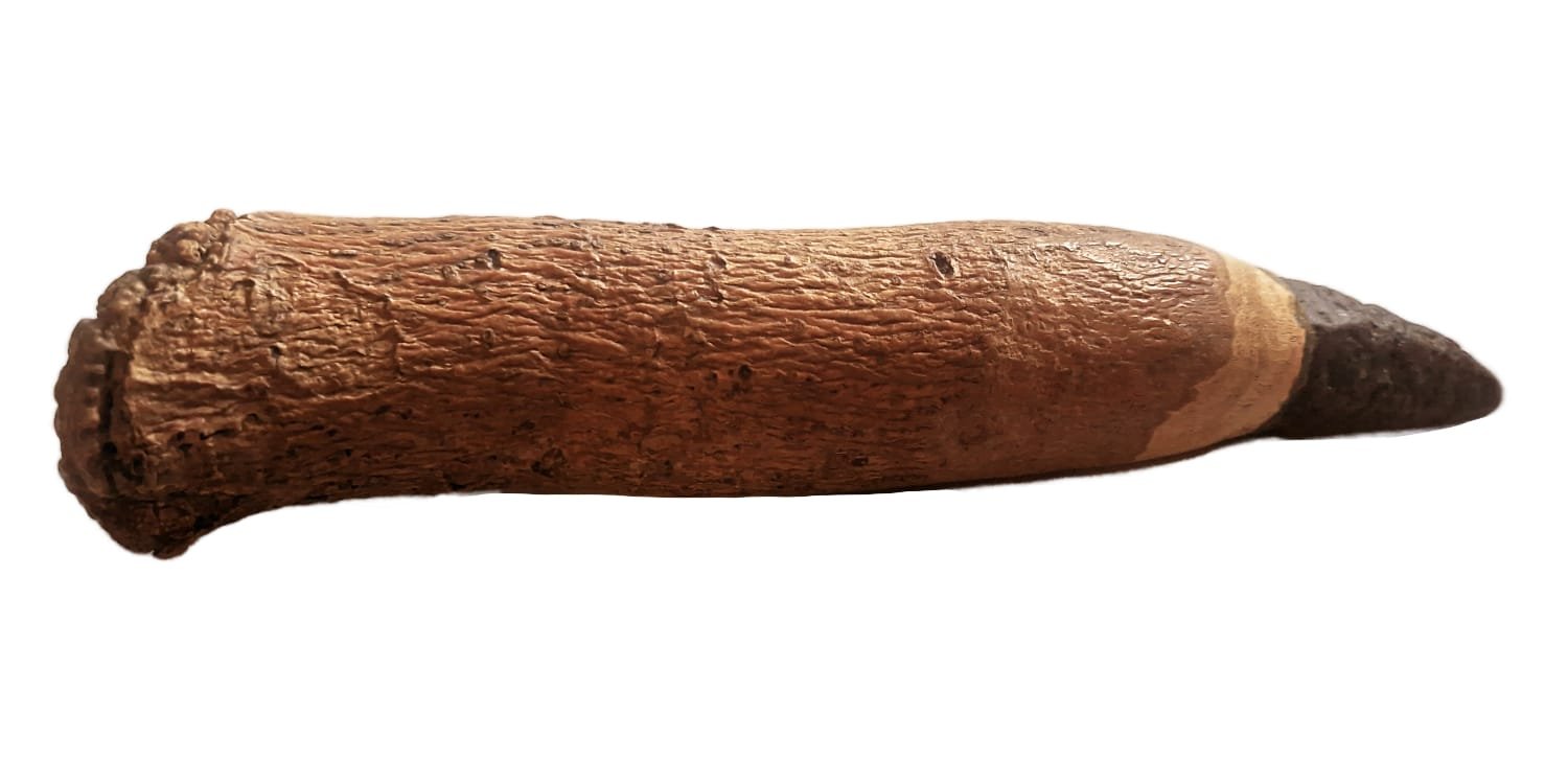 livewood es wand connect aarden kracht geronimo gallery