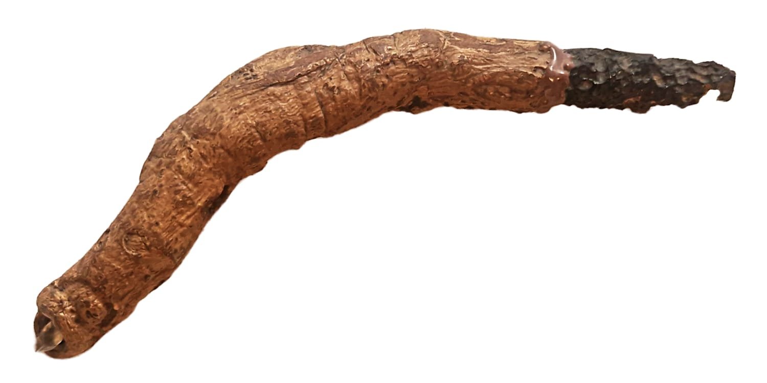 livewood es wand connect tektiet geronimo gallery