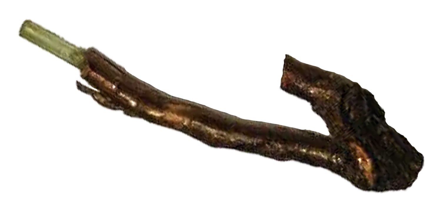 livewood hazelaar earth wand hazel toermalijn