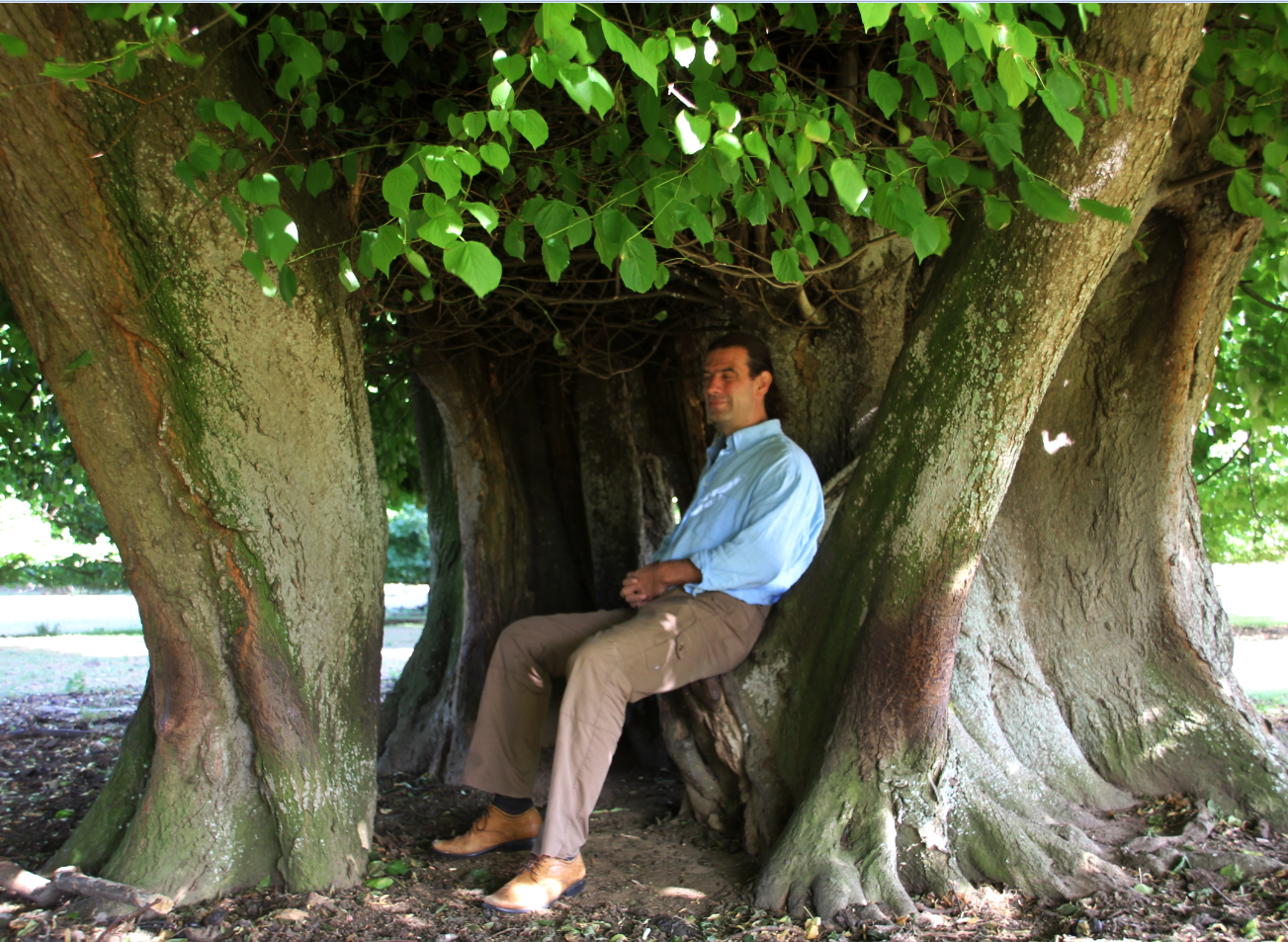 2026-01-10_11h05_37 linde livewood geronimo gallery