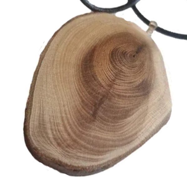 Livewood taxus hanger